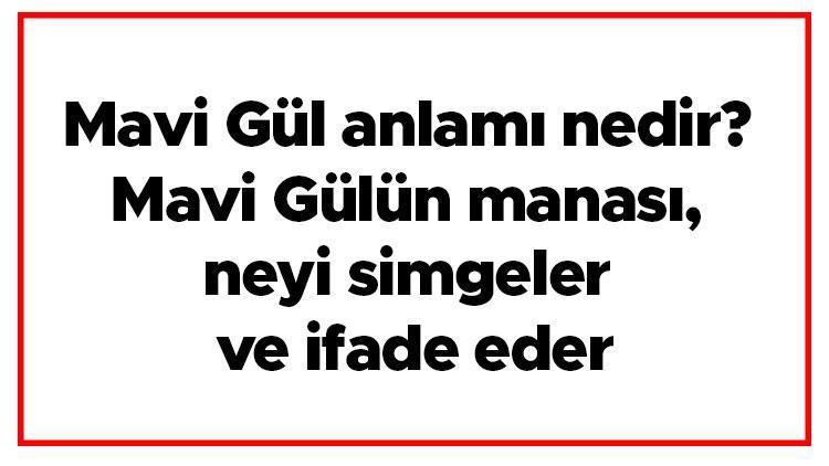 Mavi Gül anlamı nedir Mavi Gülün manası, neyi simgeler ve ifade eder