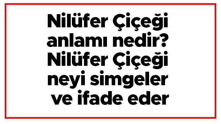 Nilüfer Çiçeği anlamı nedir Nilüfer Çiçeği neyi simgeler ve ifade eder