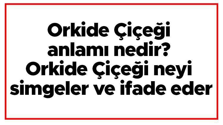 Orkide Çiçeği anlamı nedir Orkide Çiçeği neyi simgeler ve ifade eder