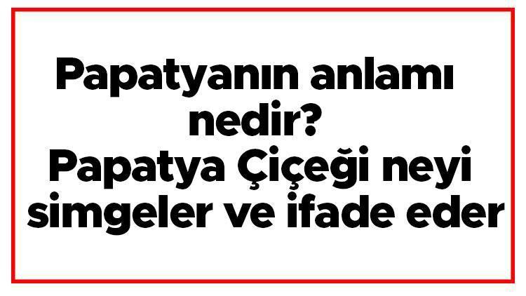 Papatyanın anlamı nedir Papatya Çiçeği neyi simgeler ve ifade eder