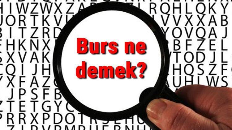 Burs nedir, ne anlama gelir Burs ne demek Burs kelimesinin TDK sözlük anlamı..