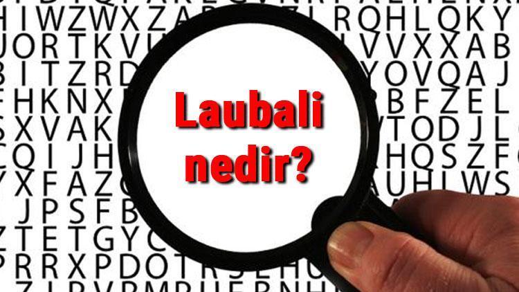 Laubali nedir, ne anlama gelir Laubali ne demek TDK sözlük anlamı..