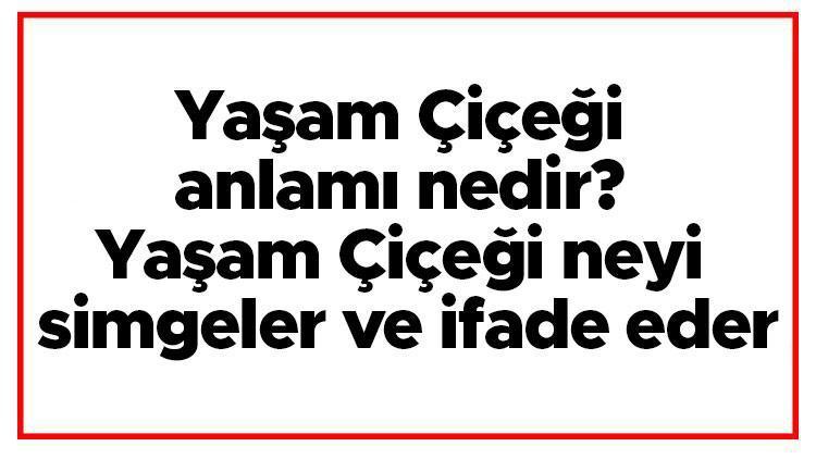 Yaşam Çiçeği anlamı nedir Yaşam Çiçeği neyi simgeler ve ifade eder