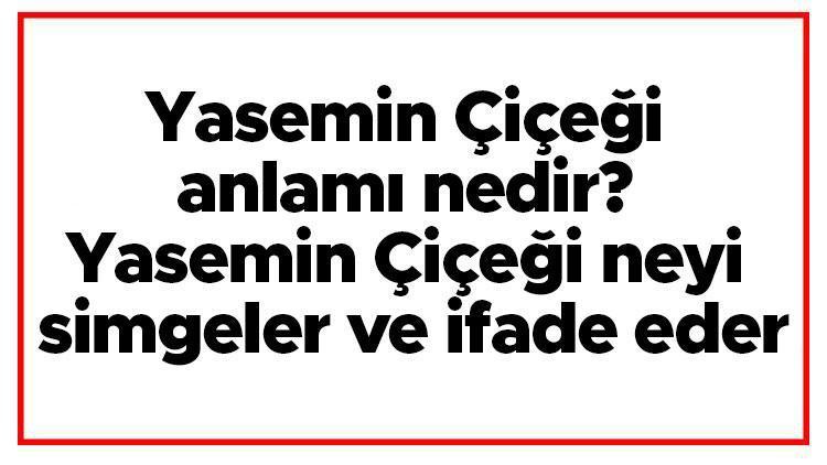 Yasemin Çiçeği anlamı nedir Yasemin Çiçeği neyi simgeler ve ifade eder