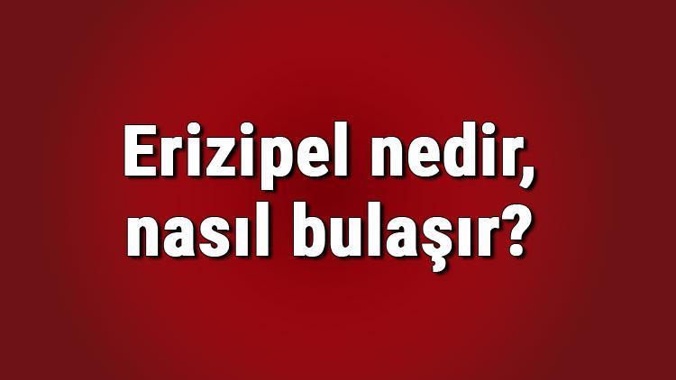 Erizipel nedir, nasıl bulaşır Erizipel etkeni nedir Yılancık hastalığı nasıl oluşur