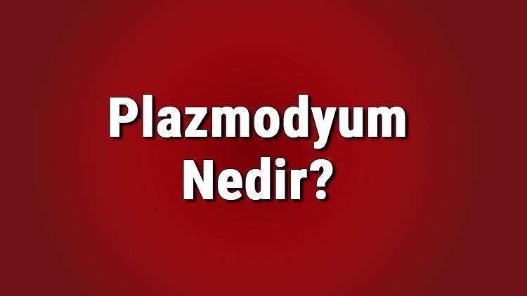 Plazmodyum nedir, hangi yollar çoğalır Sıtma mikrobu olan plazmodyum paraziti nasıl ürer, hangi hastalığa sebep olur