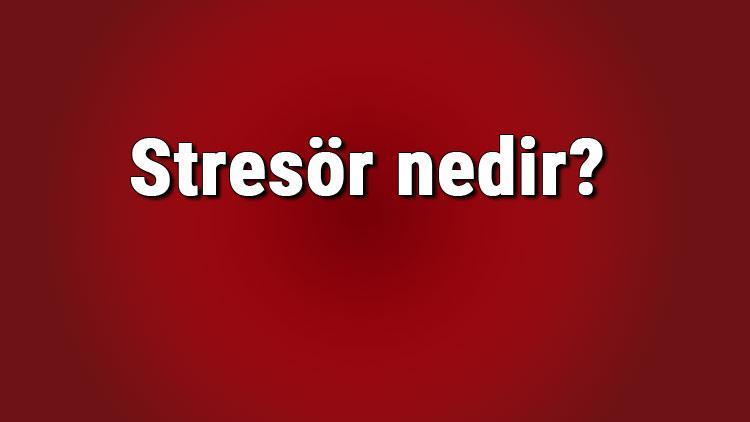 Stresör nedir, ne anlama gelir Stresin kaç tanımı vardır Stret ve tipleri..