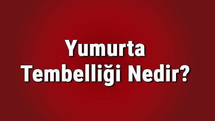 Yumurta tembelliği nedir, nelere sebep olur Yumurtalıklar neden zayıflar, hızlı çalışması için neler yapılmalı