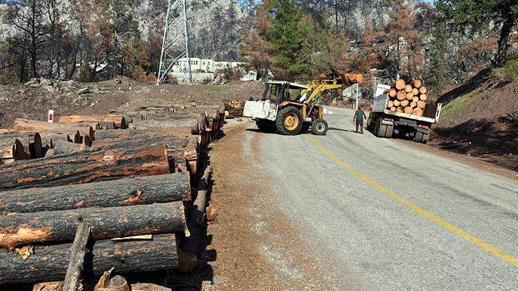 Marmariste, 3 ayda yangında zarar gören 1500 hektar alandaki ağaçlar kesildi