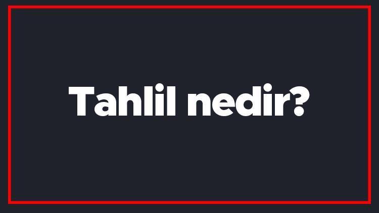 Tahlil nedir Tahlil etmek ne demek Tahlil kelimesi TDK Sözlük anlamı..