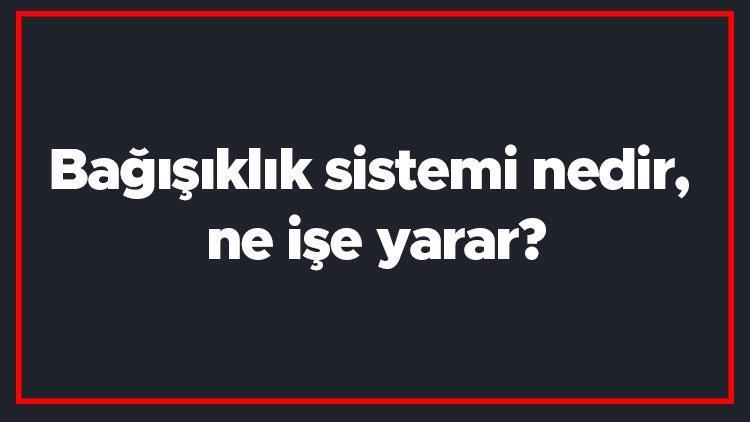 Bağışıklık sistemi nedir, ne işe yarar Bağışıklık sisteminin güçlü veya zayıf olduğu nasıl anlaşılır