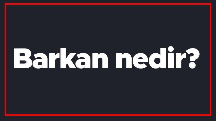 Barkan nedir Türkiyede barkan var mı Rüzgar birikim şekilleri nelerdir