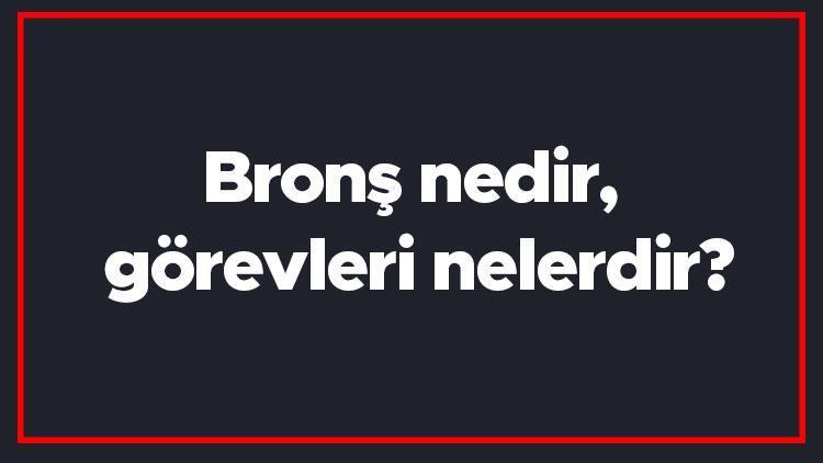 Bronş nedir, görevleri nelerdir Bronşların dolu olduğu nasıl anlaşılır, açılması içi ne yapılır