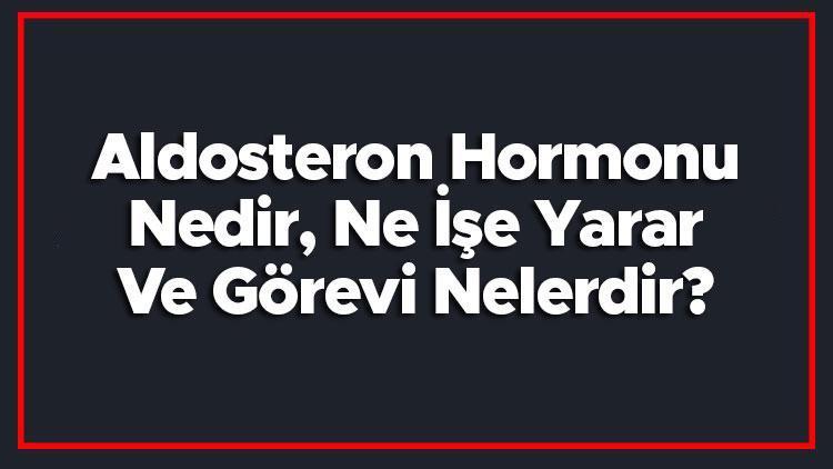 Aldosteron Hormonu Nedir, Ne İşe Yarar Ve Görevi Nelerdir Aldosteron Değeri Kaç Olmalı Ve Eksikliği Neden Olur