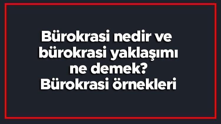 Bürokrasi nedir ve bürokrasi yaklaşımı ne demek Bürokrasi örnekleri