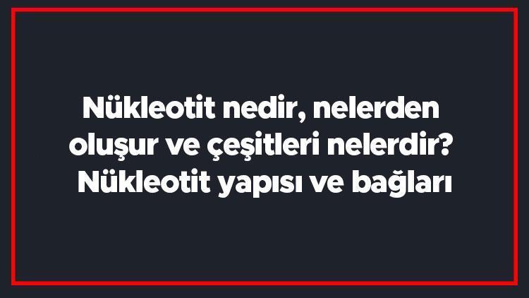 Nükleotit nedir, nelerden oluşur ve çeşitleri nelerdir Nükleotit yapısı ve bağları