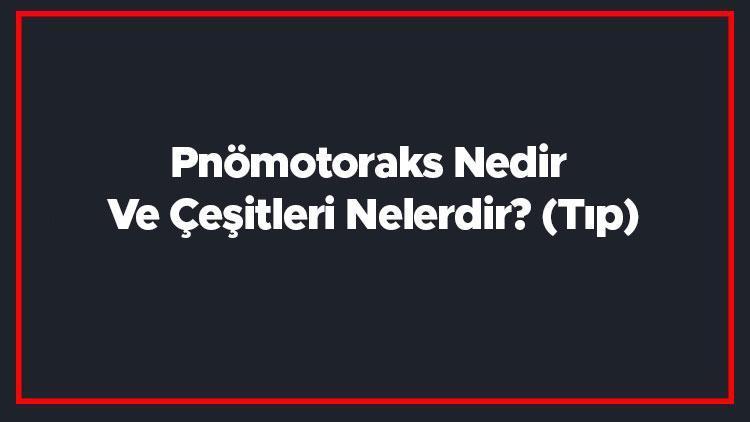 Pnömotoraks Nedir Ve Çeşitleri Nelerdir (Tıp)