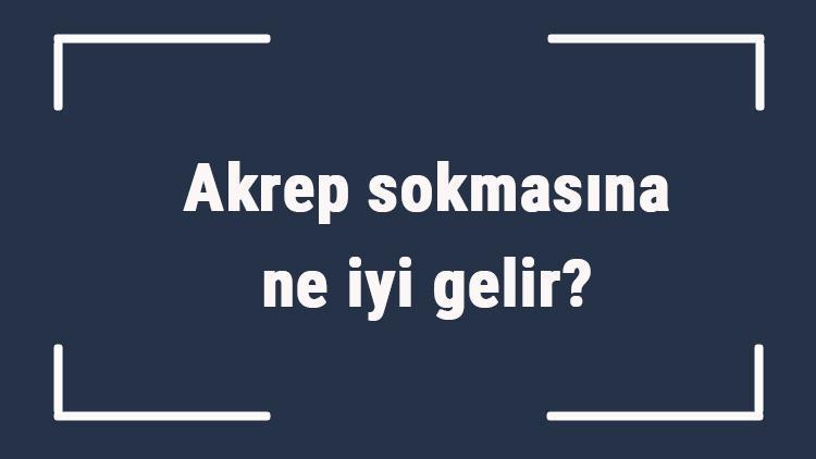 Akrep sokmasına ne iyi gelir Akrep sokmasına ne yapmak gerekir, ilk yardım nasıl yapılır