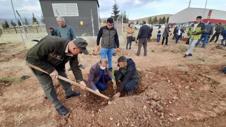 Tufanbeyliye öğretmenler için hatıra ormanı