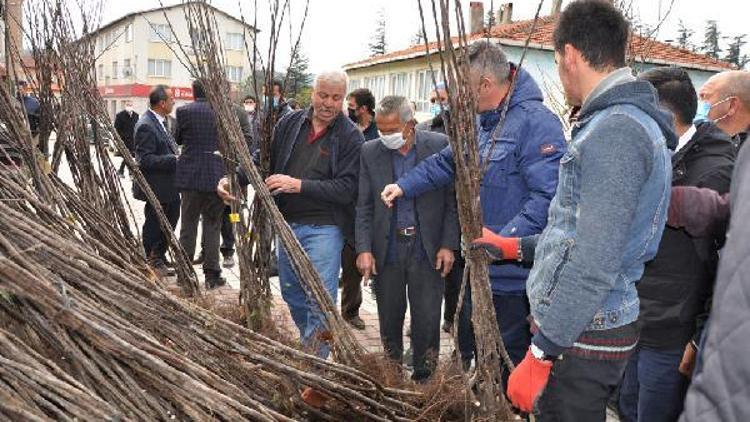 Harmancıkta çiftçilere 6 bin adet ayva fidanı dağıtıldı