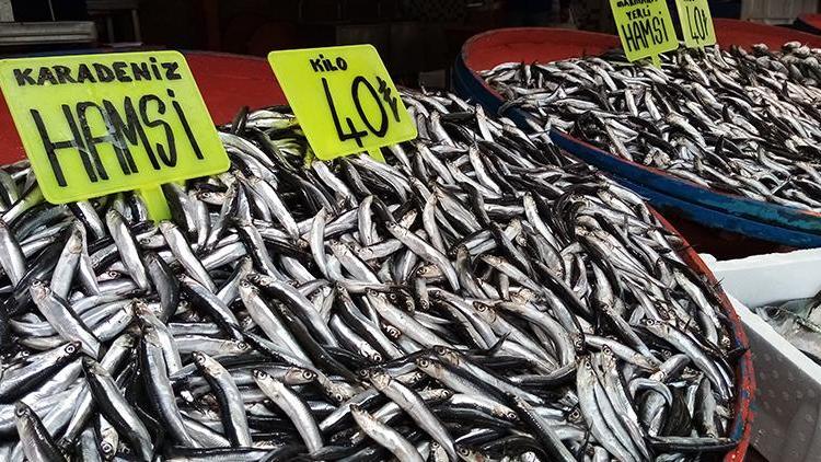 Balık fiyatlarına lodos etkisi