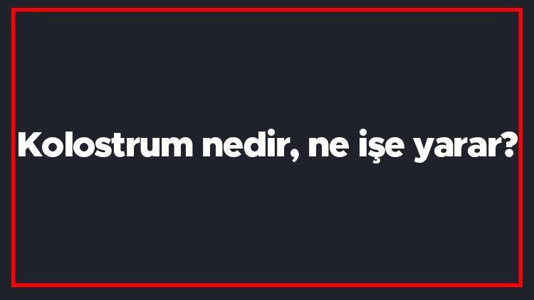 Kolostrum nedir, ne işe yarar Kolostrumun özelliği nedir, hangi vitaminlerde bulunur