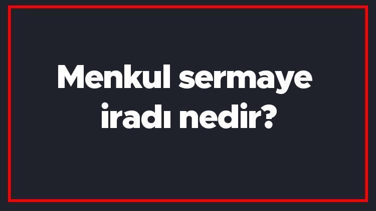 Menkul sermaye iradı nedir Menkul sermaye iradi sayılan gelirler nelerdir, hangi beyanname üzerinden vergilenir