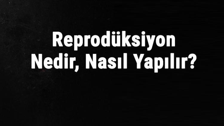 Reprodüksiyon Nedir, Nasıl Yapılır Reprodüksiyon Tablo Ne Demek