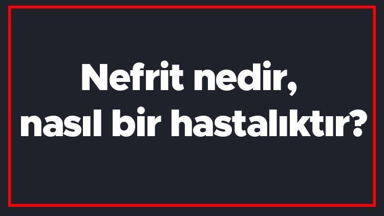 Nefrit nedir, nasıl bir hastalıktır Böbrek iltihabı (nefrit) tanısı, belirtileri ve tedavi yöntemleri..