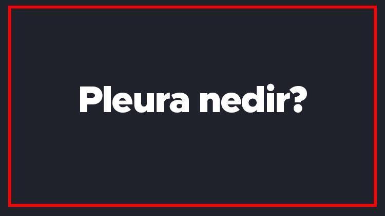 Pleura nedir Plevra zarı nerede bulunur Plevranın akciğeri örnek kısmı nedir