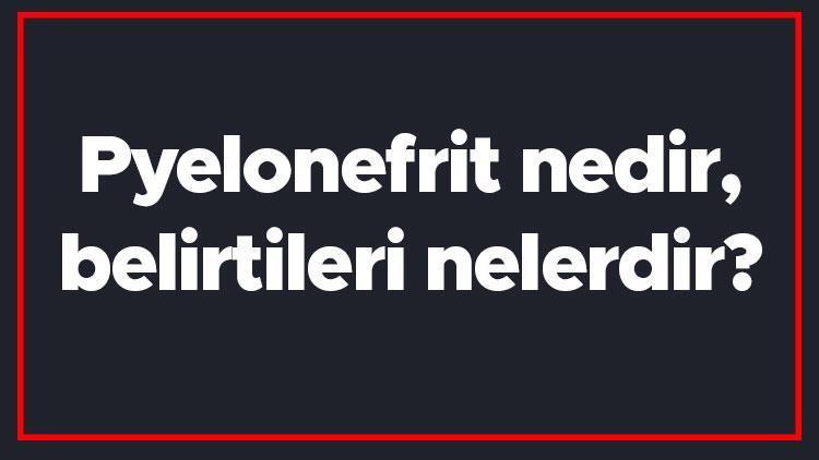 Pyelonefrit nedir, belirtileri nelerdir Böbrek iltihabı hastalığı pirelonefrit tanısı ve tedavi yöntemleri..