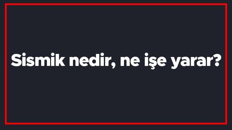 Sismik nedir, ne işe yarar Sismik hareketler ne demektir Sismik dalga türleri..