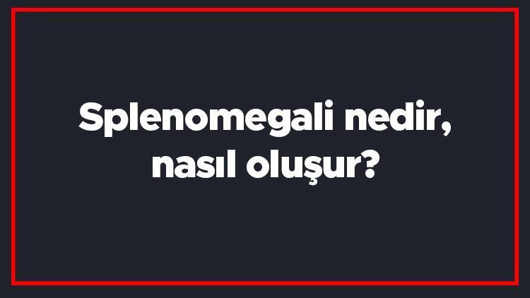 Splenomegali nedir, nasıl oluşur Dalak büyümesi nelere yol açar Splenomegali tanısı ve tedavi yöntemleri..