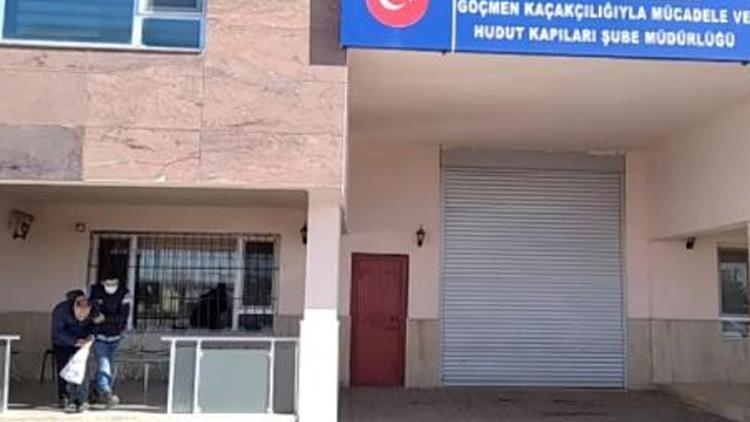 Vanda operasyon: 17 göçmen kaçakçılığı organizatörü yakalandı