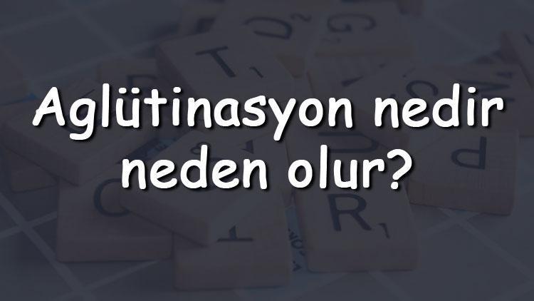 Aglütinasyon nedir, neden olur Aglitülasyon pozitif veya negatif çıkarsa ne olur