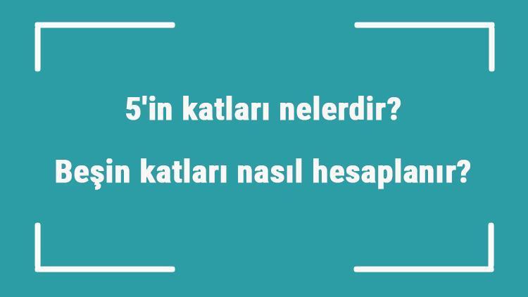 5in katları nelerdir Beşin katları nasıl hesaplanır