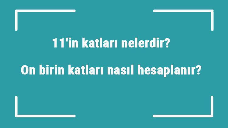 11in katları nelerdir On birin katları nasıl hesaplanır