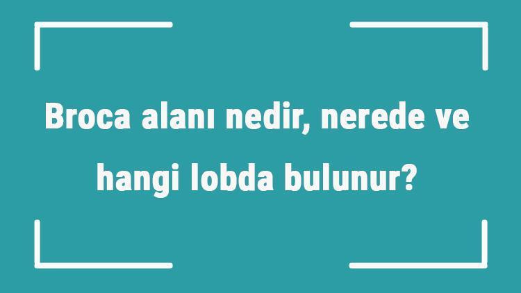 Broca alanı nedir, nerede ve hangi lobda bulunur Broca alanı görevleri neler ve hasarı sonucu ne olur