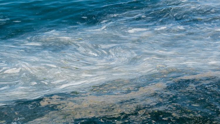 Deniz salyası nedir, neden oluşur Deniz salyası zararları ve nedenleri