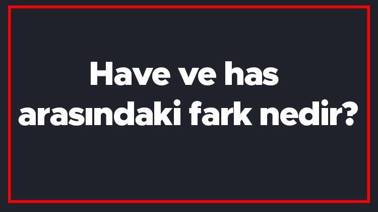 Have ve has arasındaki fark nedir İngilizce have ile has farkı