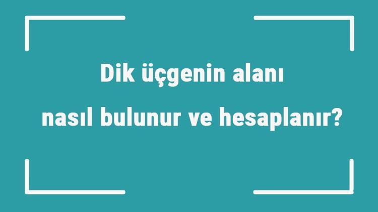 Dik üçgenin alanı nasıl bulunur ve hesaplanır Formülü ve örnekleri ile dik üçgen alanı hesaplama