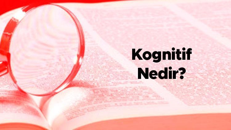 Kognitif nedir Tıpta bilişsel psikoloji ilgi alanları nelerdir