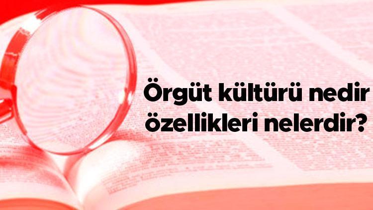 Örgüt kültürü nedir, özellikleri nelerdir Örgüt kültürü kavramı hangi bilim dalı ile ilişkilidir