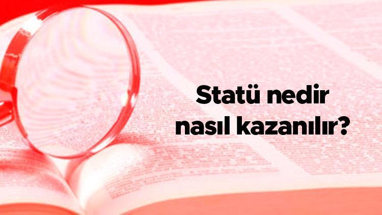 Statü nedir, nasıl kazanılır Statü kaça ayrılır