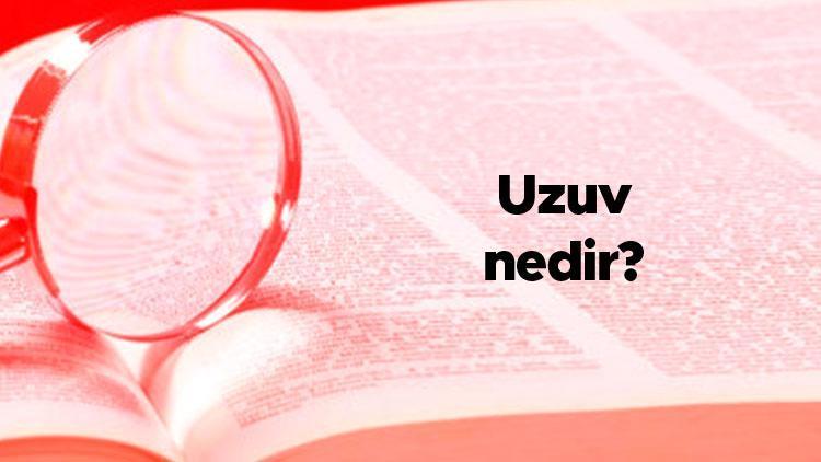 Uzuv nedir İnsan uzuvları neresidir Uzuv kaybı ve kopması nedir