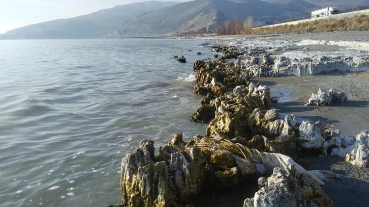 Van Gölünde su çekilince mikrobiyalitler ortaya çıktı Böylesiyle ilk kez karşılaştılar