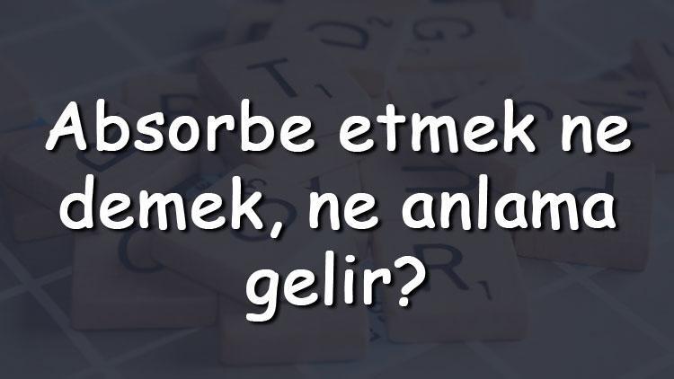 Absorbe etmek ne demek, ne anlama gelir Absorbe etmek bitişik mi yazılır ayrı mı TDK sözlük anlamı