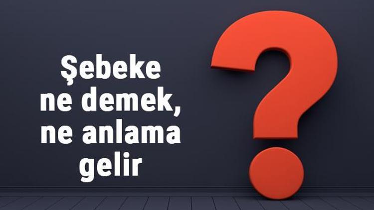 Şebeke ne demek, ne anlama gelir Şebeke kelimesinin TDK sözlük anlamı