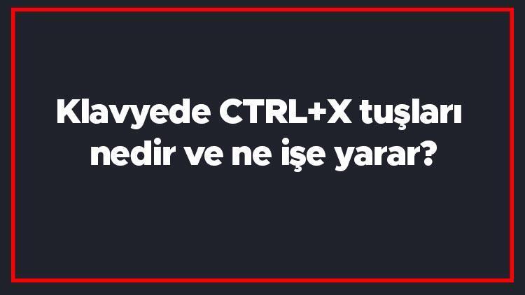 Klavyede CTRL+X tuşları nedir ve ne işe yarar (Word, Excel ve Photoshop)