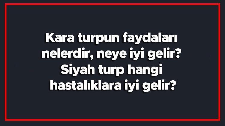 Kara turpun faydaları nelerdir, neye iyi gelir Siyah turp hangi hastalıklara iyi gelir